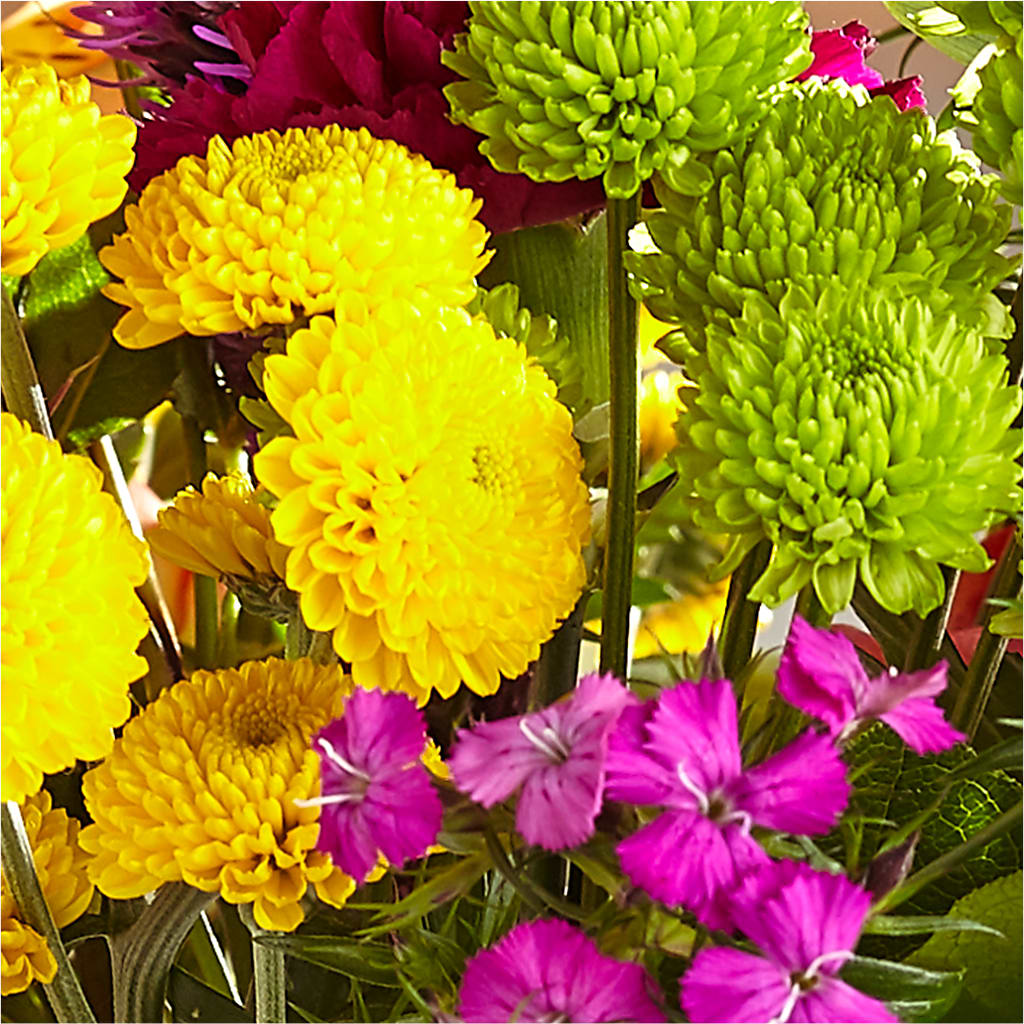 Bold & Bright – A Florist Original –  Tom Thumb, Pleasanton CA