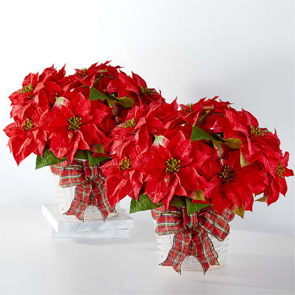 Happiest Holidays Poinsettia Bundle –  Tom Thumb, Pleasanton CA