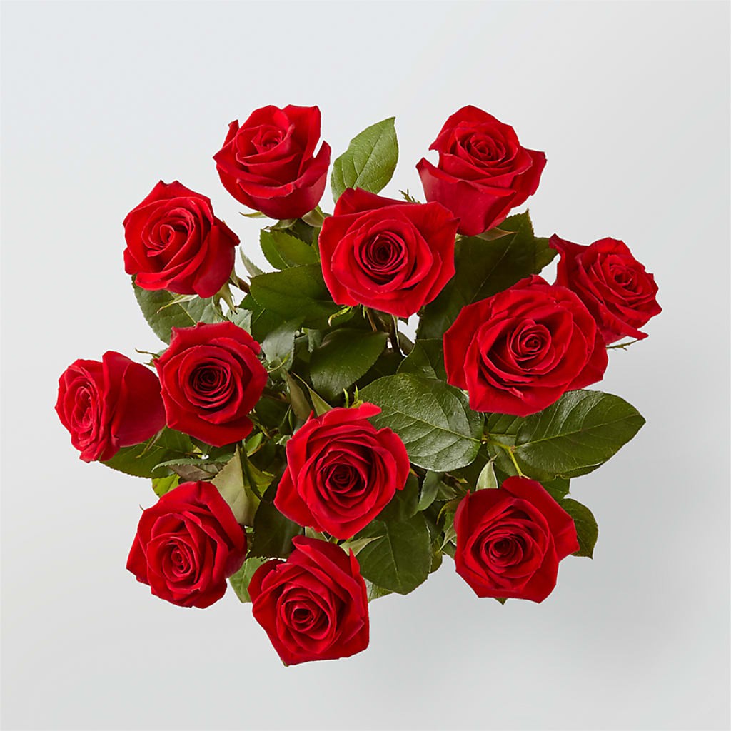 Long Stem Red Rose Bouquet –  Tom Thumb, Pleasanton CA