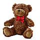 Adorable Plush Bear –  Tom Thumb, Pleasanton CA