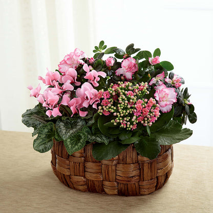 Pink Assortment –  Tom Thumb, Pleasanton CA
