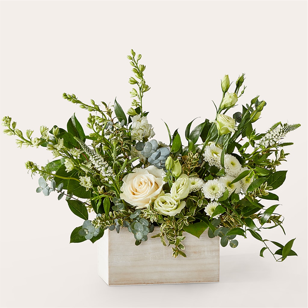 Cashmere Bouquet –  Tom Thumb, Pleasanton CA