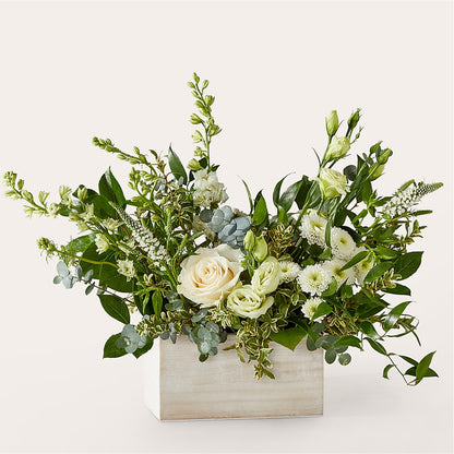 Cashmere Bouquet –  Tom Thumb, Pleasanton CA