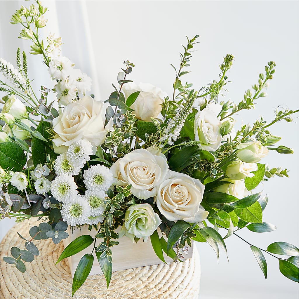 Cashmere Bouquet –  Tom Thumb, Pleasanton CA
