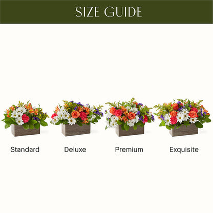 Oopsie Daisy Box Bouquet –  Tom Thumb, Pleasanton CA