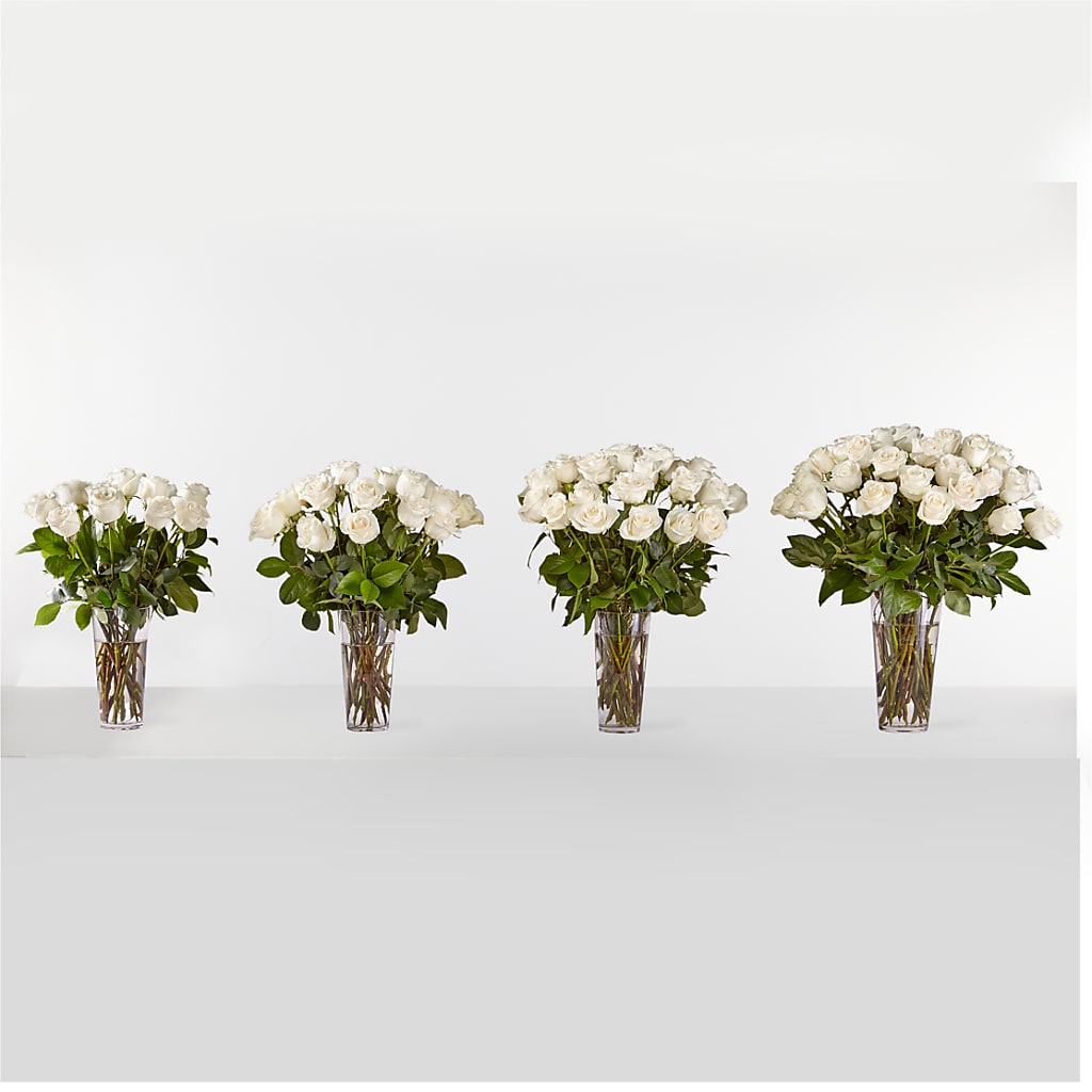 Long Stem White Rose Bouquet –  Tom Thumb, Pleasanton CA