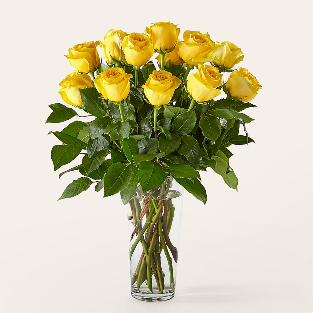 Long Stem Yellow Rose Bouquet –  Tom Thumb, Pleasanton CA