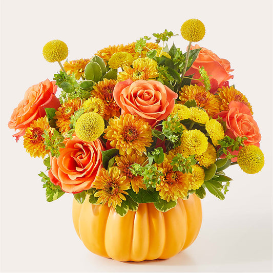 Gourdgeous Pumpkin –  Tom Thumb, Pleasanton CA