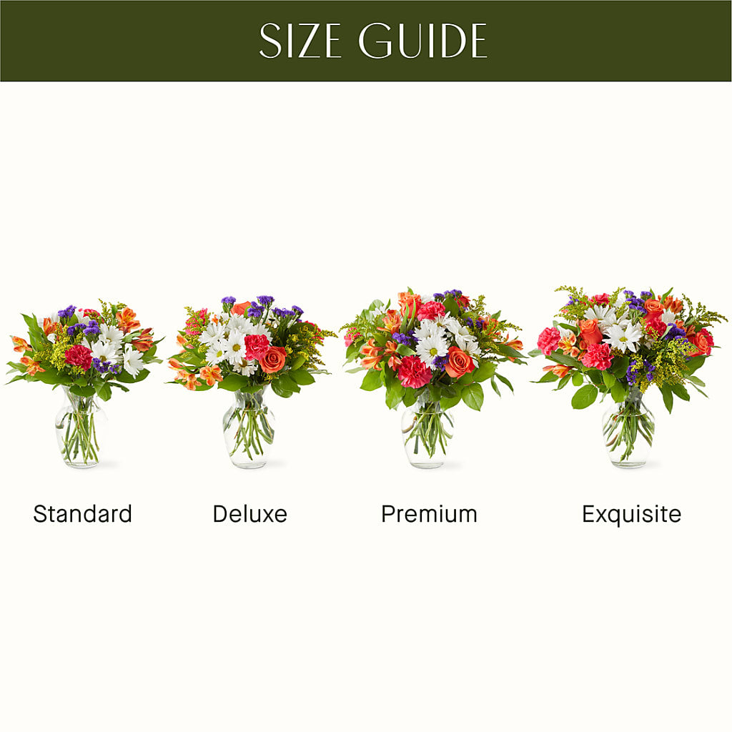 Oopsie Daisy Bouquet –  Tom Thumb, Pleasanton CA