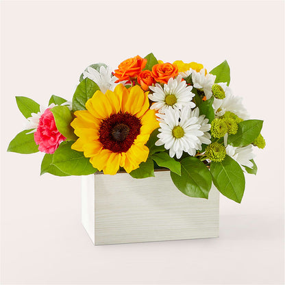 Sun-drenched Blooms Box Bouquet –  Tom Thumb, Pleasanton CA