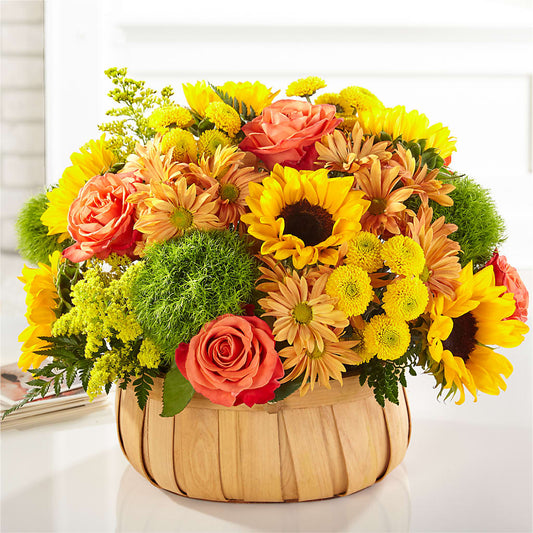 Harvest Sunflower Basket –  Tom Thumb, Pleasanton CA