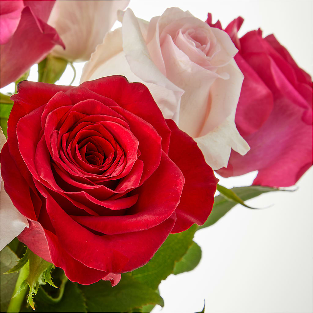 Charming Rose Bouquet –  Tom Thumb, Pleasanton CA
