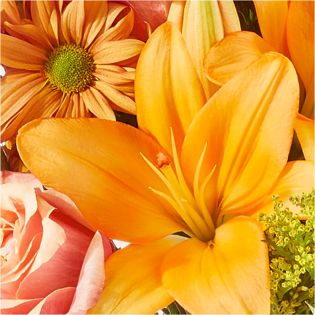 Harvest Hayride Bouquet –  Tom Thumb, Pleasanton CA
