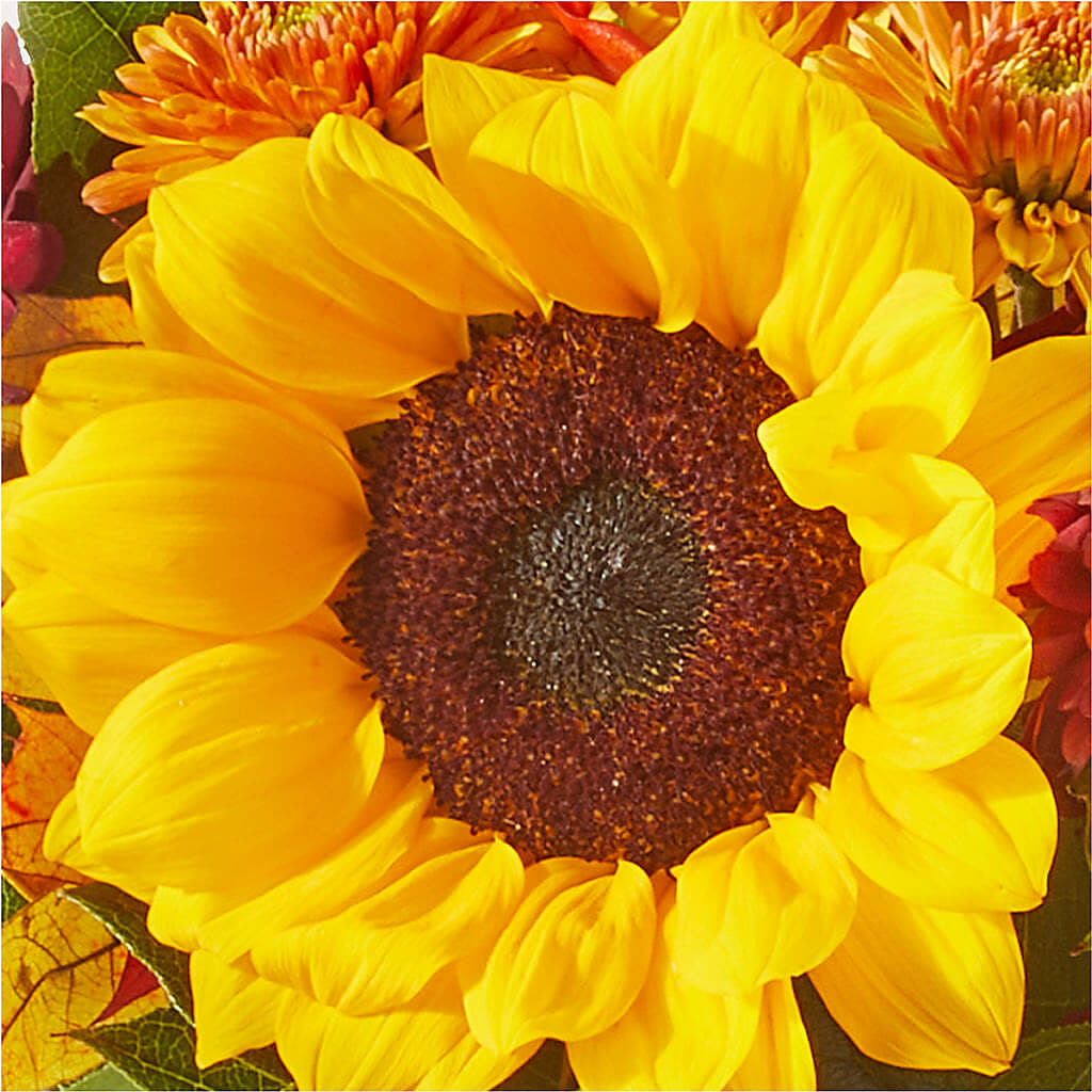 Sunny Side Bouquet –  Tom Thumb, Pleasanton CA