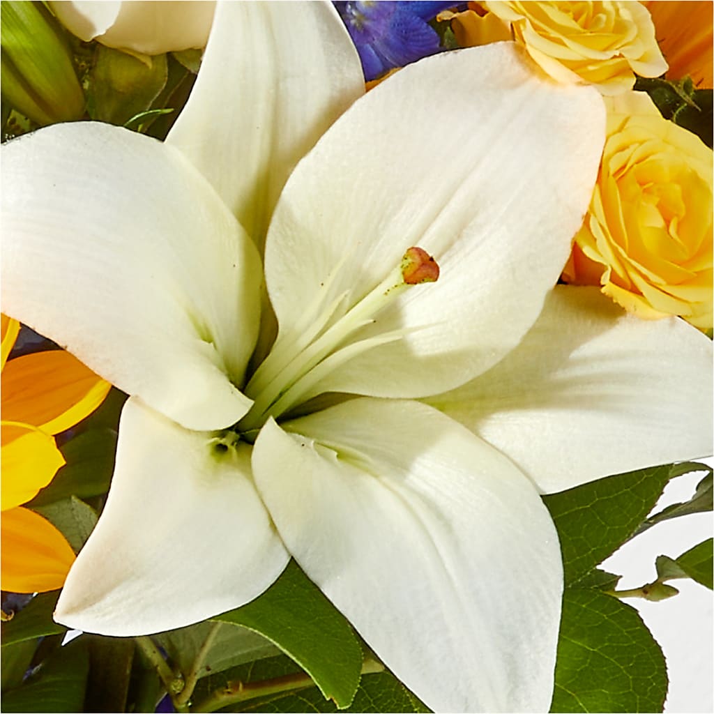 Wonderfully Sunny Bouquet –  Tom Thumb, Pleasanton CA