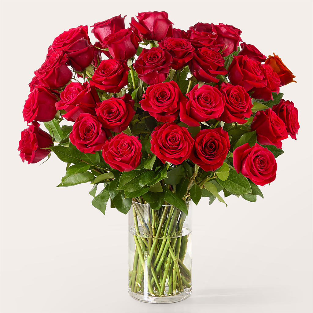 The One Red Rose Bouquet –  Tom Thumb, Pleasanton CA