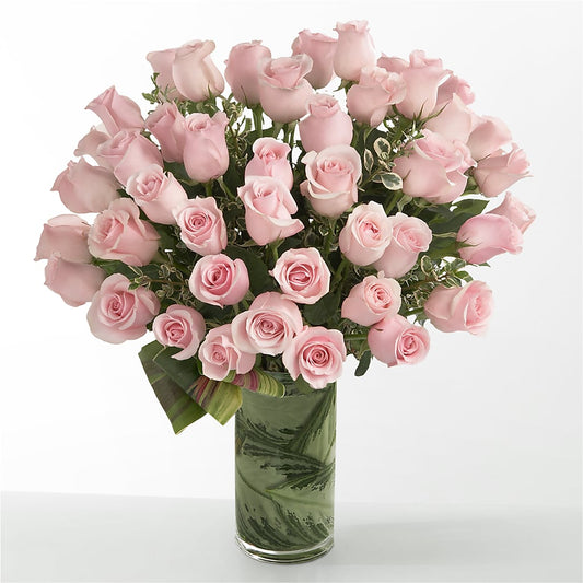 Pink Essence –  Tom Thumb, Pleasanton CA